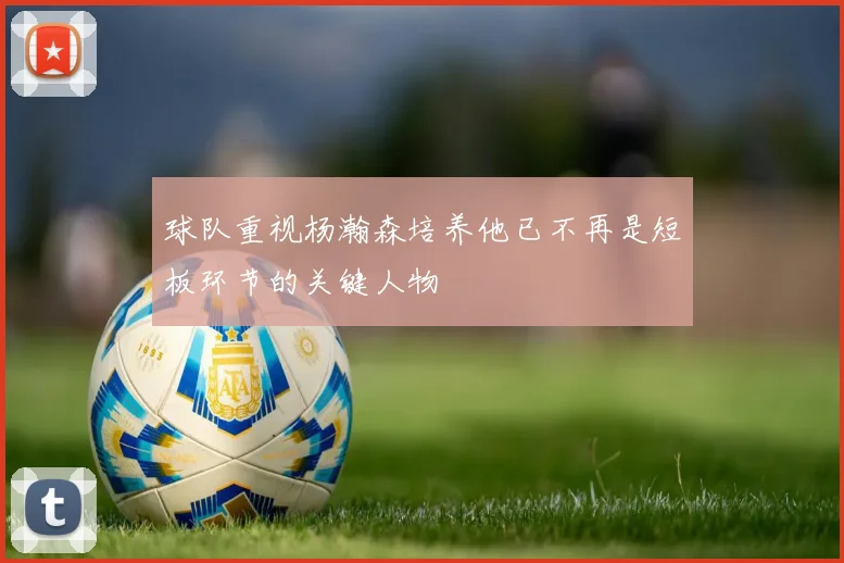 球队重视杨瀚森培养他已不再是短板环节的关键人物