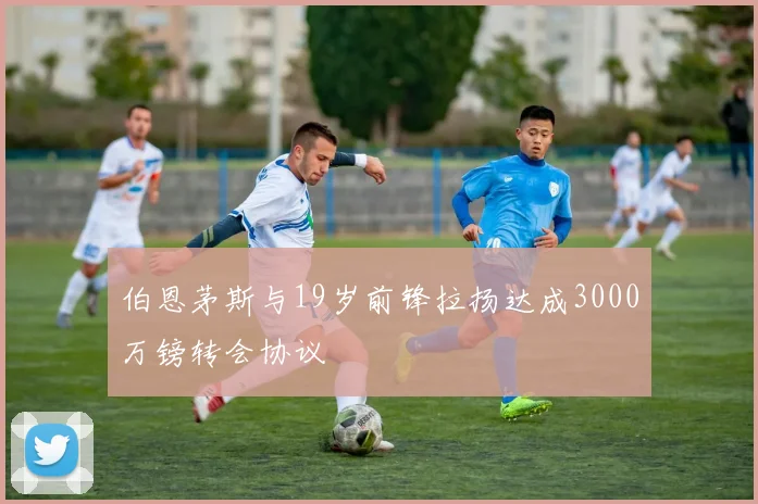 伯恩茅斯与19岁前锋拉扬达成3000万镑转会协议